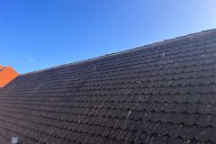 IMG-20231002-WA0007-1